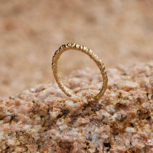 agapee zetita ring scene
